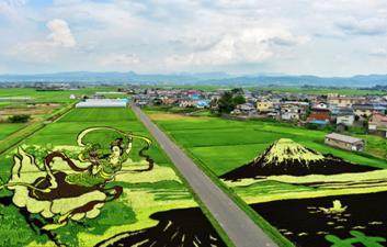 藝路向東李春林:大地藝術,帶火了鄉村旅游